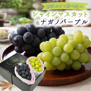 予約】ケース 箱売り 山梨 藤稔 藤みのり 大峰 8〜11房 約5kg ぶどう