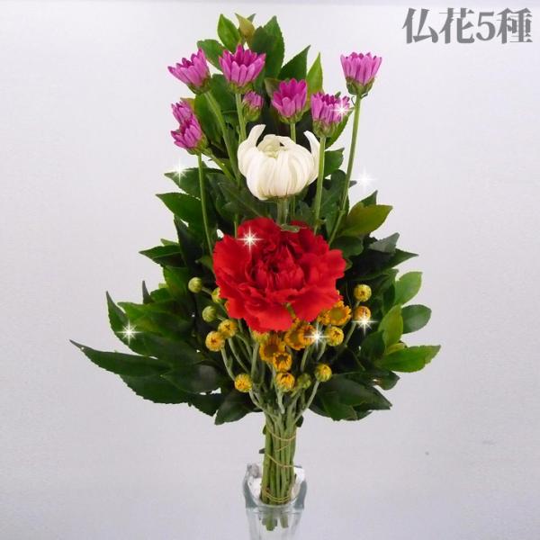 お供え お悔やみ 花 法要 49日 お盆 初盆 一周忌 四十九日 供花 お供え花 生花 仏花 ５種 ...