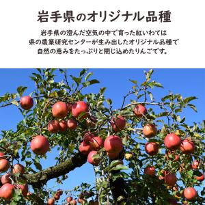 紅いわて 秀品 りんご リンゴ 林檎 岩手県産...の詳細画像3