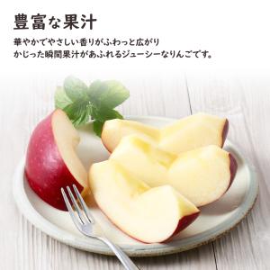 紅いわて 秀品 りんご リンゴ 林檎 岩手県産...の詳細画像5