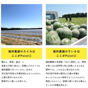 期間限定 セール 石川県 金色羅皇 2玉 計約...の詳細画像2