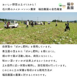 期間限定 セール 石川県 金色羅皇 2玉 計約...の詳細画像3