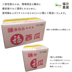期間限定 セール 石川県 金色羅皇 2玉 計約...の詳細画像5