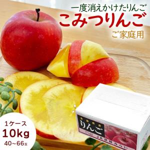 ケース 箱売り 青森県産 りんご こみつりんご コミツリンゴ 高徳 蜜入り 10kg 40〜66玉 超小玉 ご家庭用 訳あり  [ご自宅 こみつ（ケース）] 【BO】｜ほんまもん屋&Hanaファクトリー