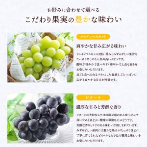 お中元 フルーツフラワーBOX シャインマスカ...の詳細画像4