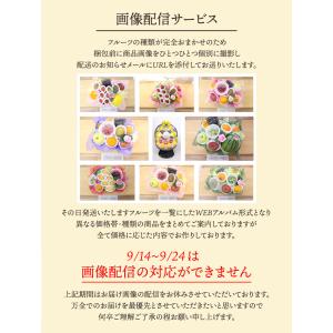フルーツギフト フルーツ 果物 盛り合わせ 画...の詳細画像5
