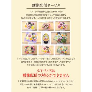 フルーツギフト フルーツ 果物 盛り合わせ 画...の詳細画像5