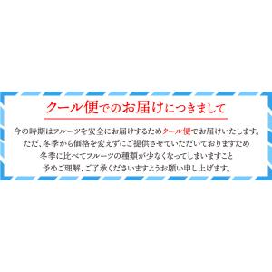 フルーツギフト フルーツ 果物 盛り合わせ 画...の詳細画像2