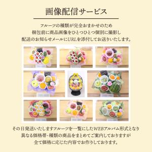 フルーツギフト フルーツ 果物 盛り合わせ 画...の詳細画像4