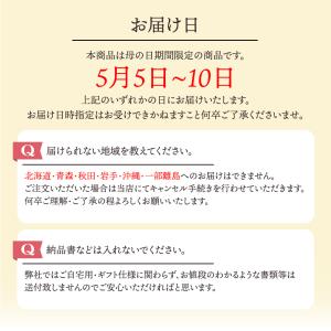 母の日 フルーツギフト 果物 盛り合わせ 花 ...の詳細画像4