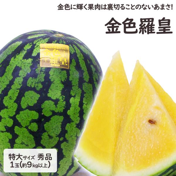 熊本県産 他 大玉すいか 金色羅皇 1玉 12kg以上 特大サイズ 黄色すいか スイカ 西瓜 ギフト...