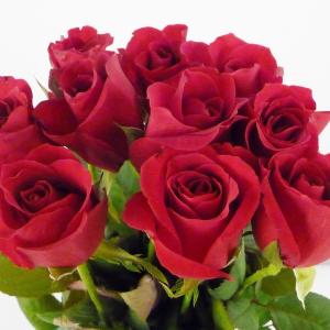 バラ 切り花 白の商品一覧 通販 Yahoo ショッピング