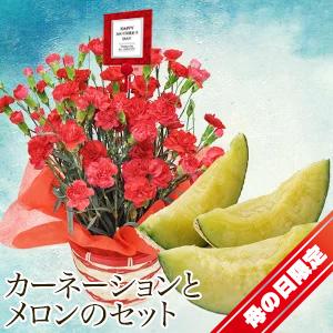 遅れてごめんね! 母の日 カーネーション の 鉢植え &amp; メロン 1玉 2025 5号 鉢植え フルーツ 果物 ギフト 贈答 [カーネーション・メロン 母の日]【MR】