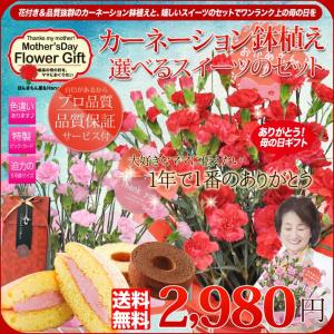 母の日 ギフト カーネーション 鉢植え と スイーツ セット 2017 母の日プレゼント 花とセット 花とスイーツ