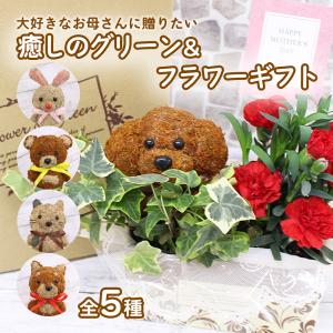 遅れてごめんね 母の日 カーネーション アニマルトピアリー 花 鉢植え くま うさぎ 柴犬 プードル ねこ トピアリーモス セット[母の日トピアリー]【JF】