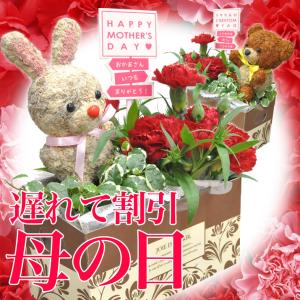 母の日 プレゼント 遅れてごめんね 花 カーネーション トピアリーモス セット ギフト 母の日ギフト 花鉢