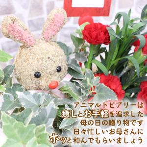 母の日 カーネーション アニマルトピアリー 花...の詳細画像3