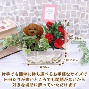母の日 カーネーション アニマルトピアリー 花...の詳細画像4