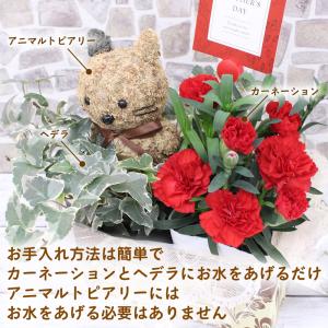 母の日 カーネーション アニマルトピアリー 花...の詳細画像5