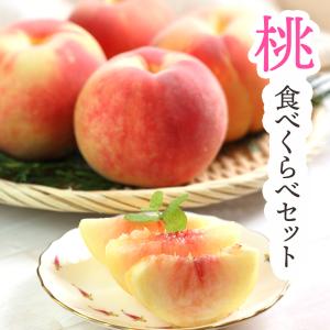 ヤフショ限定 桃 産地ブランド 食べ比べ セット 包近の桃 あら川の桃 希少 もも お中元 ギフト フルーツ 果物 お祝い [桃食べ比べ6玉(約1.5kg)] 【BO】:冷蔵
