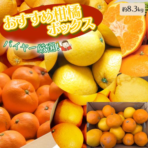 柑橘詰め合わせ 約8.3kg はまさき カラマンダリン はっさく 八朔 甘夏 紅甘夏 デコポン しら...