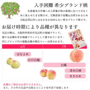 包近の桃 かねちかの桃 希少 ブランド もも ...の詳細画像1