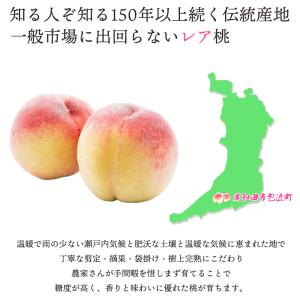 包近の桃 かねちかの桃 希少 ブランド もも ...の詳細画像3