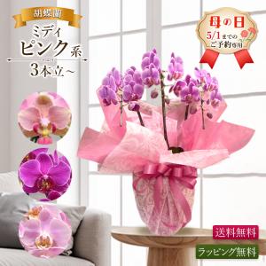 【2026年母の日ギフト・5/1までのご予約専用...の商品画像