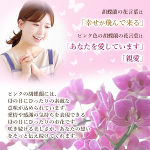 【2026年母の日ギフト・5/1までのご予約専...の詳細画像2