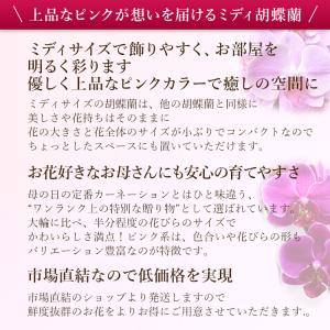【2026年母の日ギフト・5/1までのご予約専...の詳細画像3