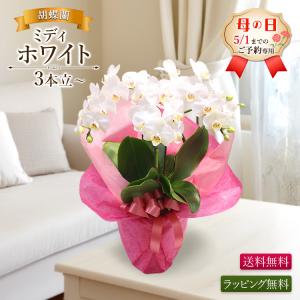 【2026年母の日ギフト・5/1までのご予約専用...の商品画像