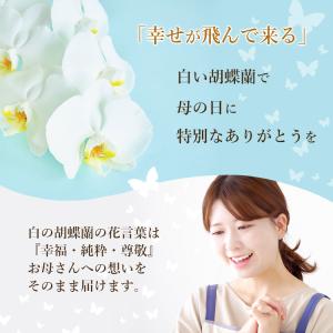 【2026年母の日ギフト・5/1までのご予約専...の詳細画像2