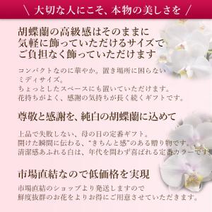 【2026年母の日ギフト・5/1までのご予約専...の詳細画像3