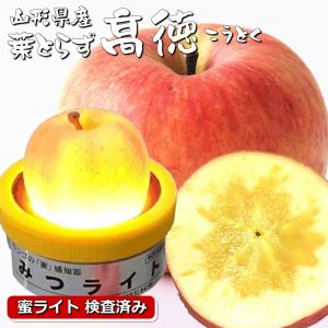 りんご サンふじ 青森産 高糖度 JA津軽みらい 特選 36入り 約10kg