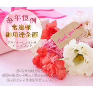 遅れてごめんね 母の日 DXバージョン 送料無...の詳細画像2