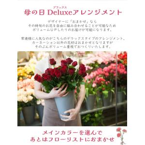 遅れてごめんね 母の日 DXバージョン 送料無...の詳細画像3