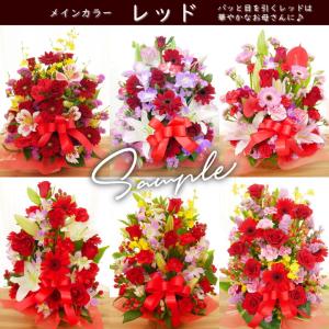 遅れてごめんね 母の日 DXバージョン 送料無...の詳細画像4