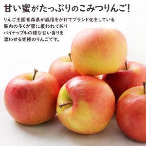 青森県 こみつりんご 約2kg 6-13玉入 ...の詳細画像2