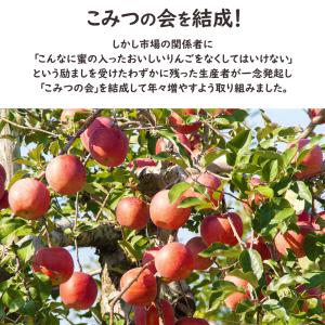 青森県 こみつりんご 約2kg 6-13玉入 ...の詳細画像4