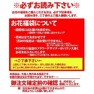切り花 福袋 たっぷり30本 あすつく お供え...の詳細画像4
