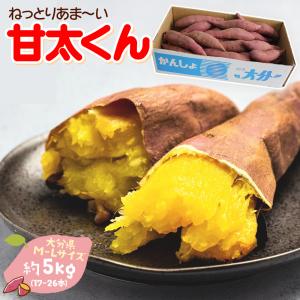 【出荷中】さつまいも 自宅用  [甘太くん 大分県産 約5kg (M-Lサイズ 17本-26本) ]カンタくん訳あり 紅はるか 焼き芋 しっとり 高糖度 甘い【N3】