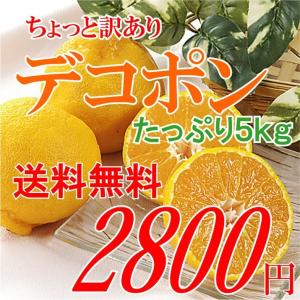 人気のみかん デコポン でこぽん  訳あり  5kg 送料無料 家庭用ですので贈答には向きません