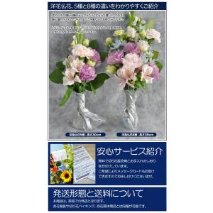 お供え お悔やみ 花 49日 法要 一周忌 四...の詳細画像3