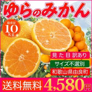 みかん 10kg 訳あり 送料無料 和歌山 ゆらのみかん 箱買い 甘いわけあり蜜柑