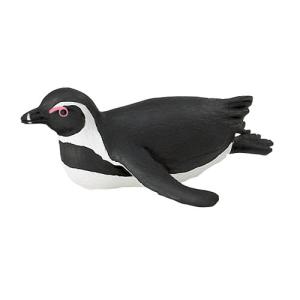 Wild Safari SeaLife（シーライフ） ケープペンギン　フィギュア 動物 レプリカ コレクション｜hono-y
