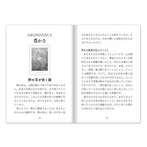 セイクレッドデスティニーオラクル スペシャルエ...の詳細画像2