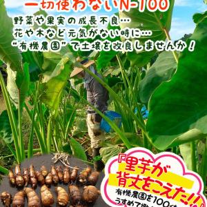 有機農園N-100 250mlの詳細画像4