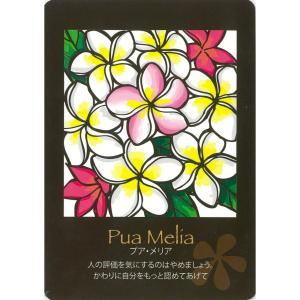 ハワイアンカード マナとアロハをあなたにの詳細画像1