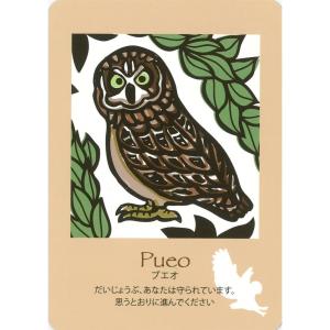 ハワイアンカード マナとアロハをあなたにの詳細画像2