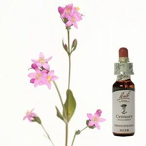 バッチフラワーレメディ 38ウィロー ノンアルコープタイプ 10ml